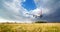 Landscape with big white passenger airplane