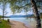 Landscape with birch, lake and the bavarian alps in the background on a sunny spring day with cloudy sky, Bavaria, Germany, Europe