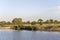 landscape with birds on lake shore in shrubland at Kruger park, South Africa