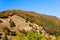 Landscape in the black forest, stony mountain with trees