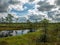 Landscape with black swamp lakes surrounded by small pine and birch trees and green moss with blue sky