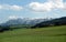 Landscape with blossoming alpine meadows with green grass and mountains with snow caps at far away