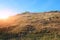 Landscape with blue sky and autumn trees and brush upon grassland hills.