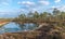 Landscape with blue swamp lakes surrounded by small pine and birch trees and green moss on spring day