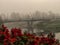 Landscape with a blurred bridge and red flowers in the foreground