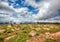 Landscape at the Blyde River Canyon