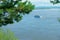 Landscape: boat, blue river, green trees