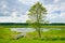 Landscape with boat on the flood waters of Narew river.