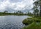 Landscape from the bog, bog after rain, bog lake, dark storm clouds, traditional bog vegetation, heather, grass, bog pines,