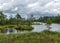 Landscape from the bog, bog after rain, bog lake, dark storm clouds, traditional bog vegetation, heather, grass, bog pines,