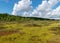 Landscape from the bog, bog after rain, dark storm clouds, traditional bog vegetation, heather, grass, bog pines, Tolkuse bog