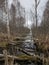 Landscape with bog ditch, white birch trees