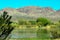 Landscape at Bosque del Apache National Wildlife Refuge