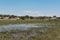Landscape at Boteti River, Makgadikgadi National Park, Botswana