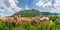 Landscape with Brasov town