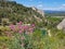 Landscape with a breathtaking view high up in the Alpilles in Provence in France with red valerian in the foreground