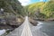 Landscape and bridge in Tsitsikamma national park