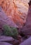 Landscape of a bright colored sandstone slot canyon