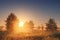 Landscape of bright sunrise over summer misty meadow with trees on clear morning. Natural rural scene of golden field