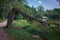 Landscape with a broken tree by the lake and an old marble bridge, soft focus, stylized