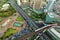 Landscape building modern business district of Bangkok. X-shaped expressway, sky train railway in the foreground at dusk.