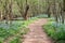 Landscape Bull Run Nat\'l Bluebell Trail Virginia