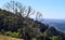 Landscape in Bunya National Park