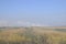 Landscape burning field. The burning of rice straw in the fields. Rice paddies