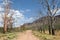 Landscape with burnt trees in the south of Marakele National Park