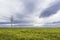 Landscape of Caithness countryside