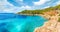 Landscape with Cala Saladeta, Ibiza islands