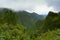 Landscape from the Caldeirao verde, Santana