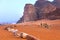 Landscape with camels in Wadi Rum desert, Jordan