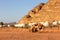 Landscape with camels in Wadi Rum desert, Jordan