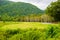 Landscape at camping area Kaeng Krachan National Park