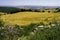 Landscape in Campobasso province, Molise, Italy