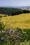 Landscape in Campobasso province, Molise, Italy