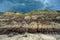 Landscape of the Canadian Badlands in Red Deer River Valley, Drumheller, Alberta, Canada