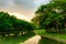 Landscape of canal are city park with forest wall