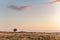 Landscape of Cantal at sunset