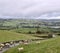 Landscape captured over Yorkshire with sheep