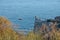 Landscape with Castle on Black sea coast in Crimea