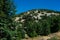 Landscape at a Cedar reserve in the Lebanon mountains