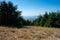 Landscape at a Cedar reserve in the Lebanon mountains