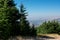 Landscape at a Cedar reserve in the Lebanon mountains