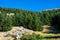 Landscape at a Cedar reserve in the Lebanon mountains