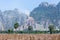 Landscape of cement factory in thailand, corn fields foregrounds, limestone mountain range backgrounds