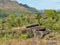 Landscape at Chapada dos Veadeiros in Brazil