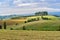 Landscape in Chianti region in province of Siena. Tuscany. Italy