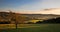 Landscape in the Chilterns at sunset